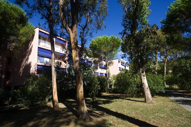 Edificio tra gli alberi, cielo blu.