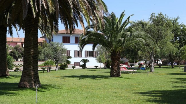 Giardino con palme e casa bianca sullo sfondo.