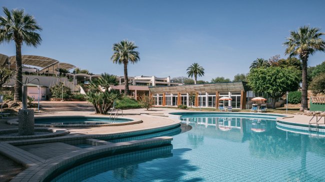 Piscina esterna con palme e strutture in lontananza.