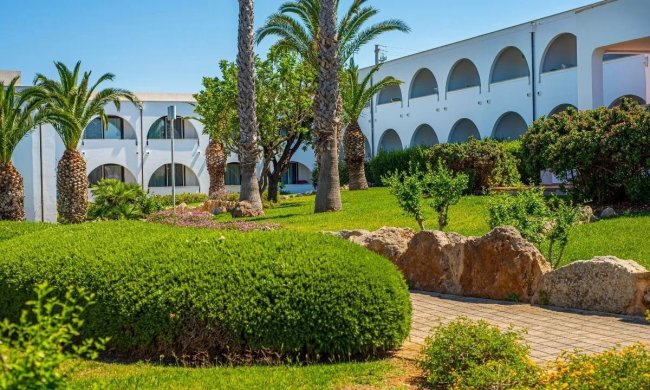 Giardino con palme e edificio bianco.
