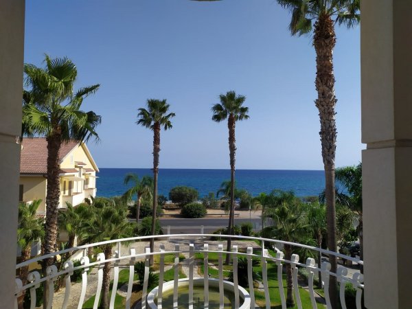 Vista sul mare con palme da un balcone.