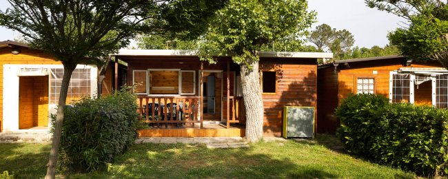 Chalet in legno con veranda, alberi e cespugli.