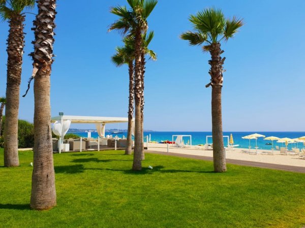Spiaggia con palme, erba verde e ombrelloni bianchi.