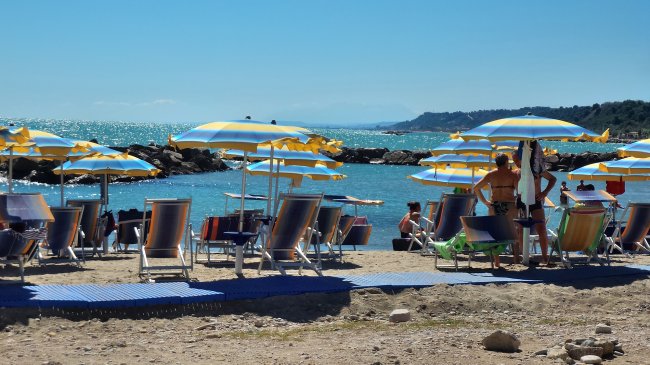 Ombrelloni gialli e blu su spiaggia gremita.