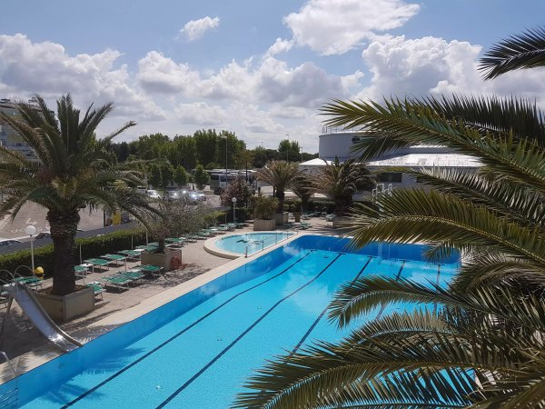 Piscina esterna circondata da palme con sedie a sdraio.