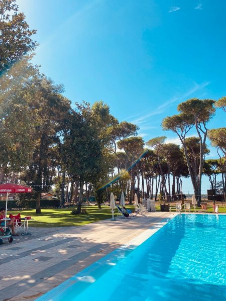 Piscina all'aperto con alberi al sole.