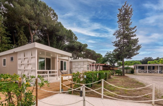 Bungalow moderno con veranda, alberi e giardino intorno.