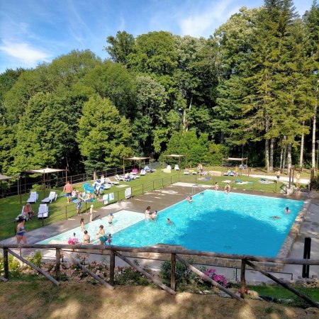Piscina circondata da persone e alberi.