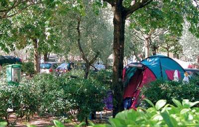 Tenda da campeggio blu e fucsia in una zona alberata.