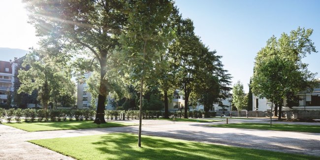 Parco con alberi e prato verde in città.