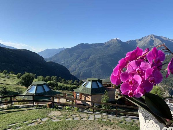 Vista panoramica di montagne e fiori rosa.