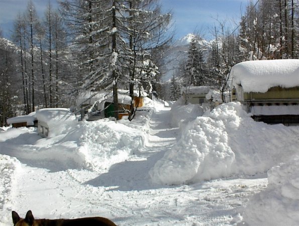 Strada invernale innevata tra alberi e roulotte.