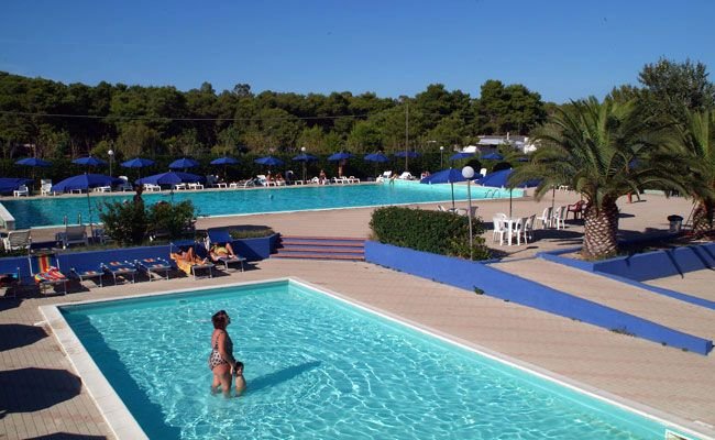 Piscina all'aperto con sdraio e ombrelloni, circondata da alberi e palme.