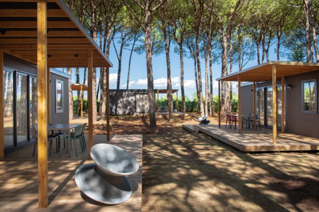 Bungalow moderni tra alberi alti.