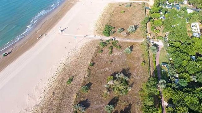 Vista aerea di una spiaggia con vegetazione.