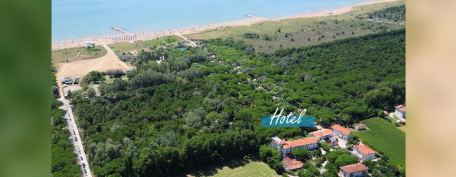 Veduta aerea di hotel circondato da foresta e spiaggia.