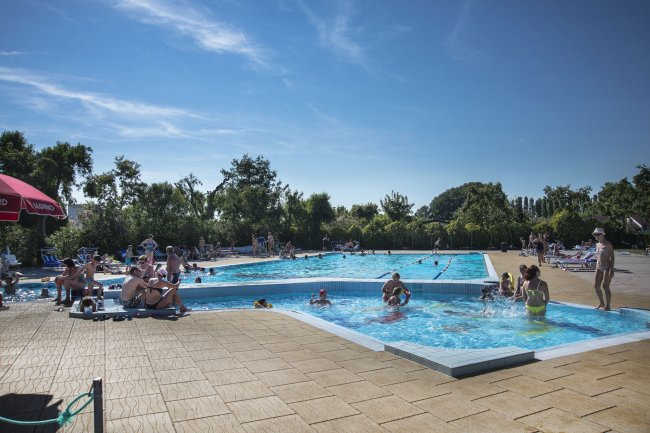 Piscina affollata con adulti e bambini che si godono il sole. Sullo sfondo, alberi rigogliosi.
