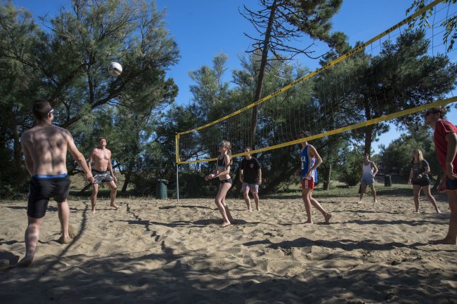 Persone giocano a beach volley su un campo sabbioso, circondato da alberi.