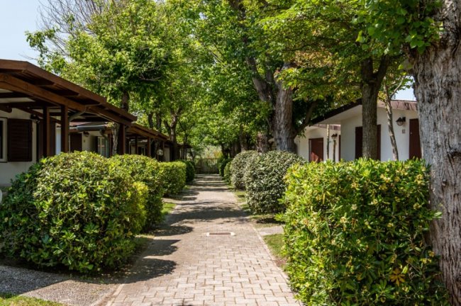 Sentiero tra bungalow con cespugli.