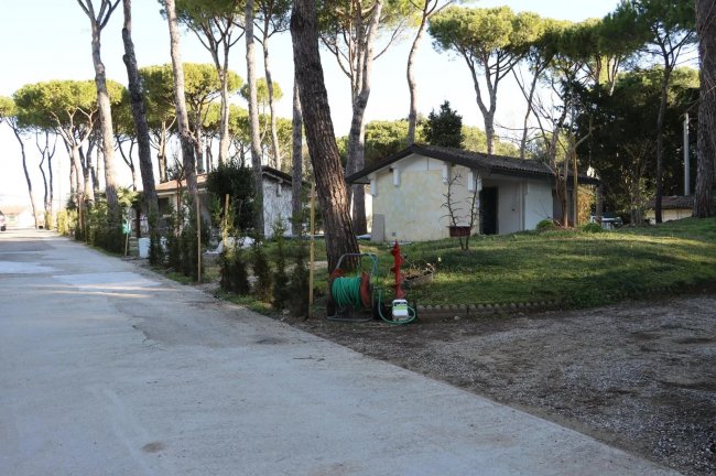 Vialetto con edifici bianchi tra gli alberi.