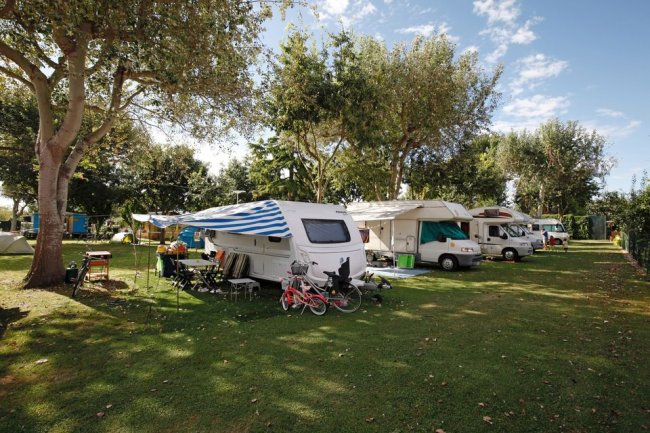 Camper e roulotte in campeggio alberato.